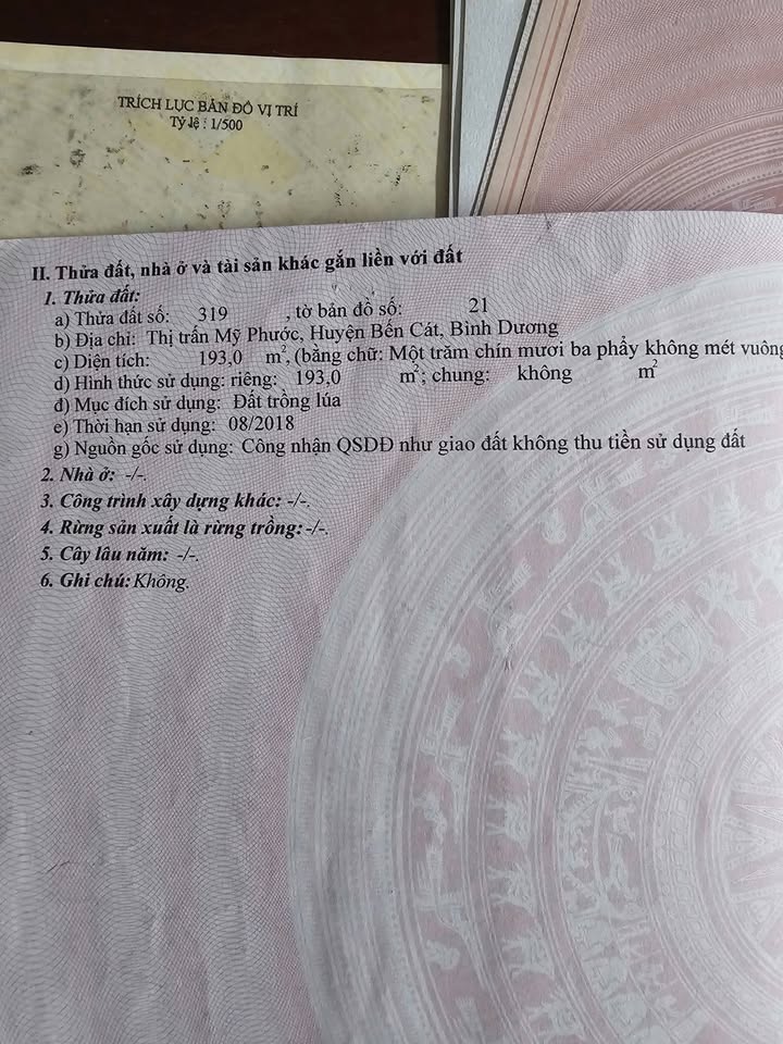 Đất nền Bến Cát, Bình Dương 180m² giá 1 tỷ - Cơ hội đầu tư tuyệt vời!