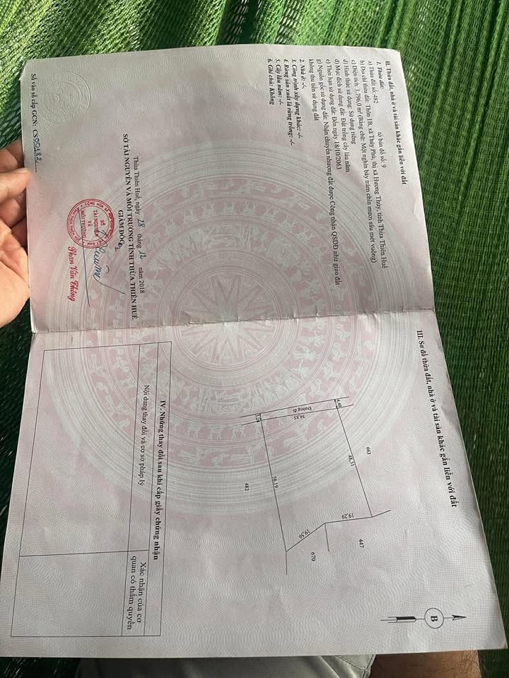 Đất trồng cây lâu năm Phú Bài 1800m² giá chỉ 480 triệu - Cơ hội đầu tư lý tưởng!