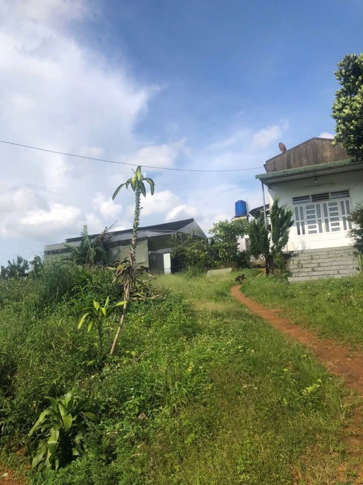 Đất nông nghiệp 1014m² tại hẻm 430 Phan Đình Phùng, Bảo Lộc - Giá chỉ 5.1 tỷ!