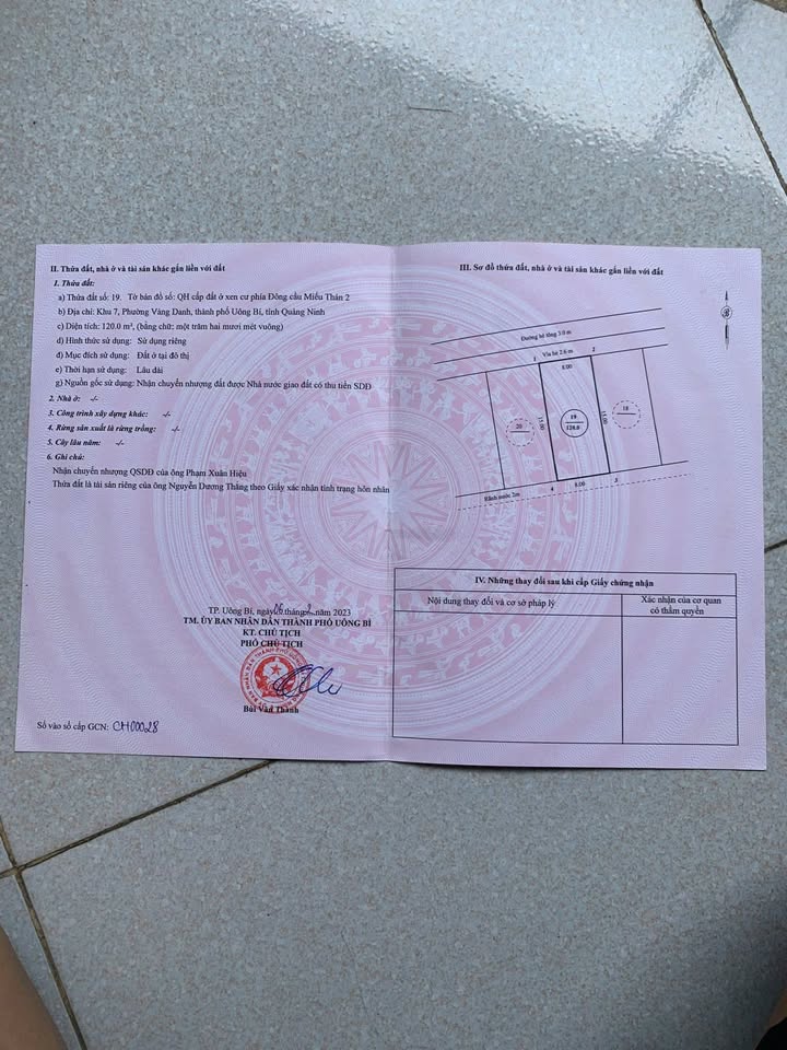 Đất nền tái định cư Vàng Danh 120m² giá 700 triệu - Đầu tư sinh lời lý tưởng!