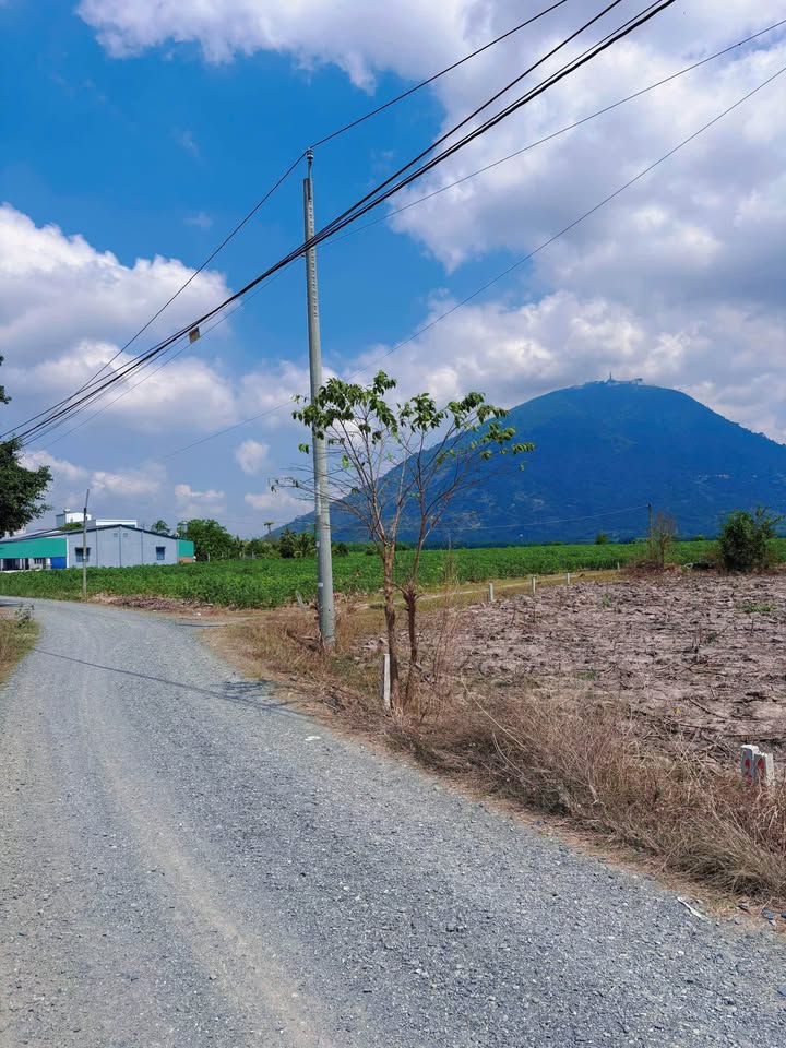 Đất thổ cư xã Phan, Dương Minh Châu 224m² giá 300 triệu - Sổ hồng riêng, view núi Bà Đen tuyệt đẹp!