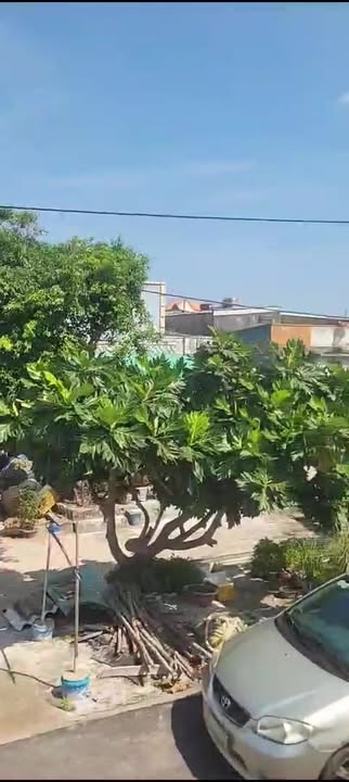 Nhà mặt biển Phước Tỉnh 55m² giá 2.8 tỷ - Chính chủ cần bán gấp!