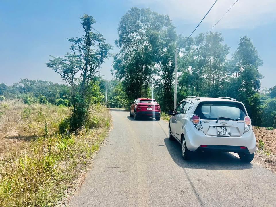 Đất nền Suối Rao, Châu Đức, Bà Rịa - Vũng Tàu 630m² giá 1.55 tỷ - Đầu tư sinh lời hấp dẫn!