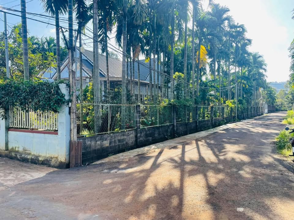 Đất nền Ea Tiêu 246m² giá 960 triệu - Cách Giáo Xứ Tân Hòa chỉ 250m!