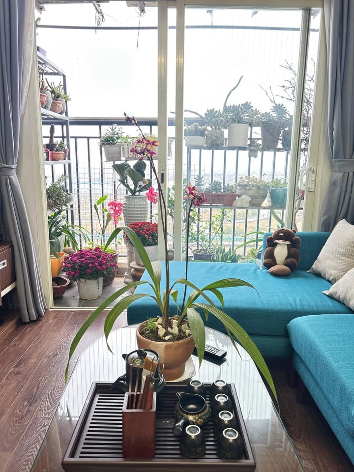 Căn hộ Ecohome Phúc Lợi 78.1m² giá 5 tỷ - Full nội thất, view đẹp!