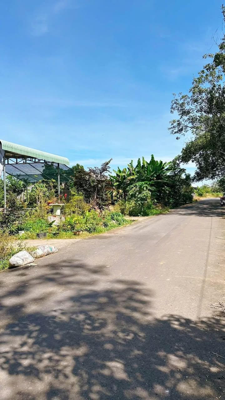 Đất thổ cư An Long, Phú Giáo 275m² giá 600 triệu - Đường thông, dân cư đông đúc!