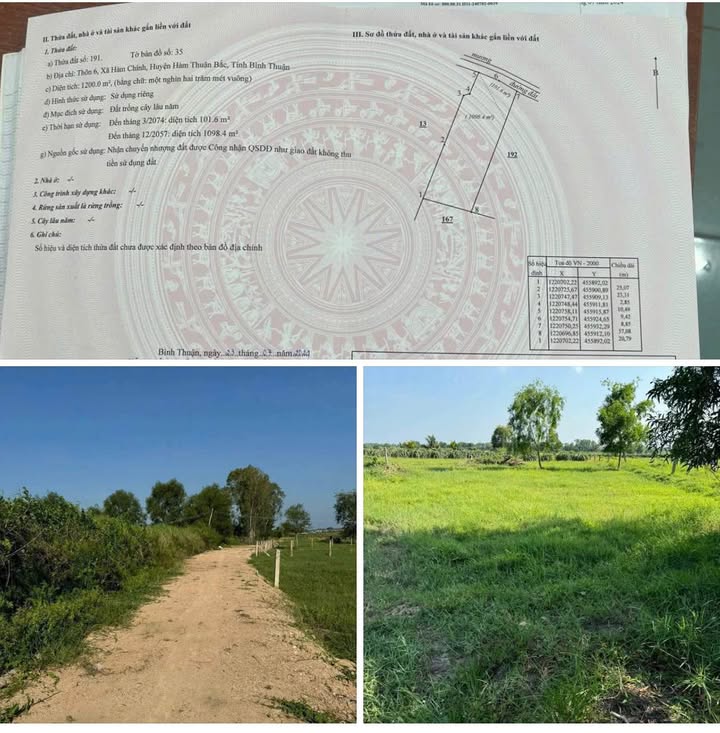 Đất nông nghiệp 1,2 sào tại Xã Hàm Chính, Bình Thuận - Chỉ 390 triệu!