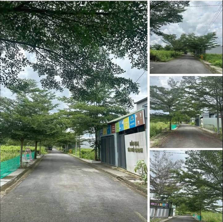 Đất mặt tiền đường nhựa Trà Cổ 150m² giá 690 triệu - Cơ hội đầu tư hấp dẫn!