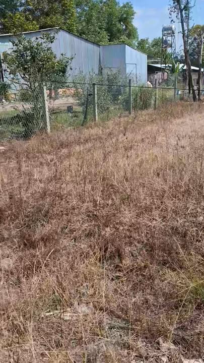 Đất nền đường Be 129, xã Tân Phú, 2010m² chỉ 1.5 tỷ - Sổ đỏ chính chủ!