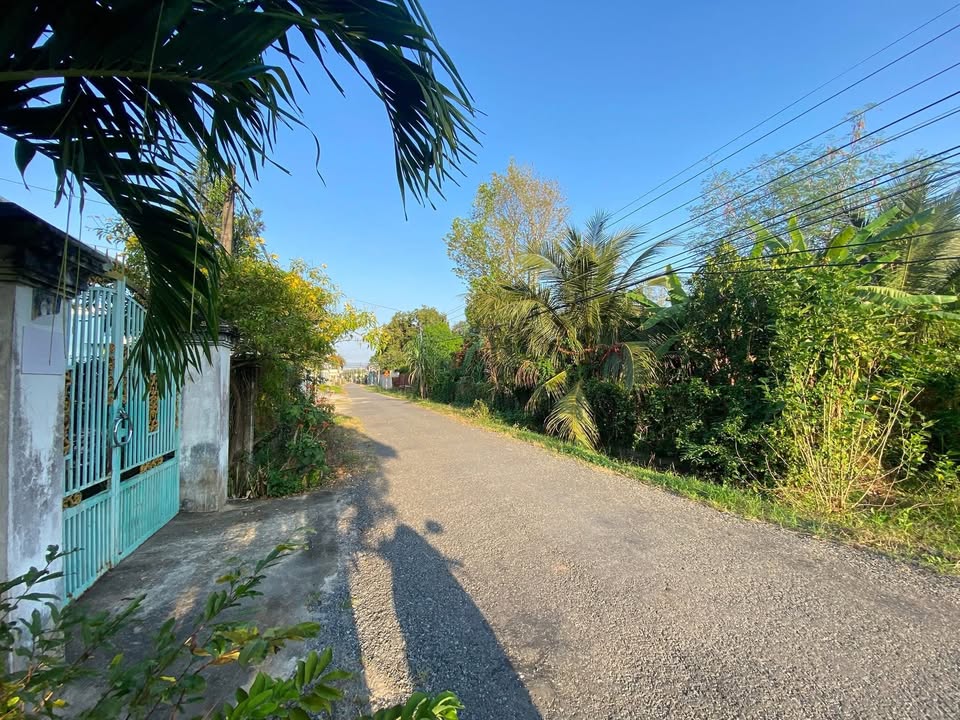 Đất thổ cư mặt tiền Ấp Đá Hàng, Gò Dầu 168m² giá 880 triệu - Sổ hồng riêng, thương lượng nhẹ!