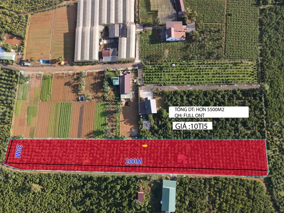 Đất nền Bảo Lộc 5500m² giá thỏa thuận - Tiềm năng đầu tư lâu dài!