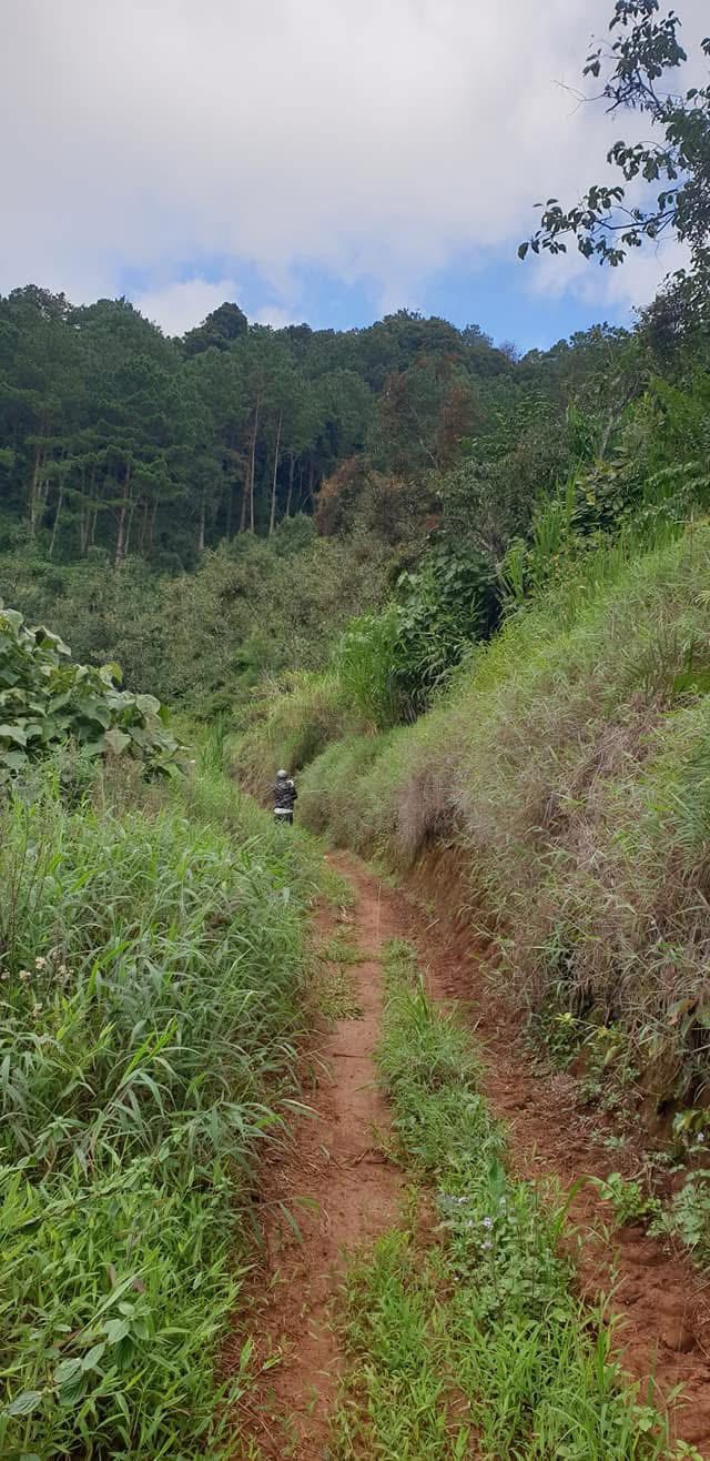 Đất nền Đà Lạt 1000m² giá 2.3 tỷ - Cơ hội đầu tư hấp dẫn!