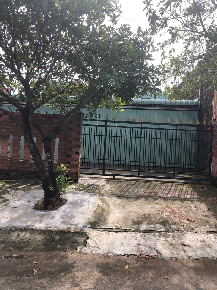 Đất nền Phú Phong, Tây Sơn 100m² giá 1 tỷ - Vị trí đắc địa ngay trung tâm