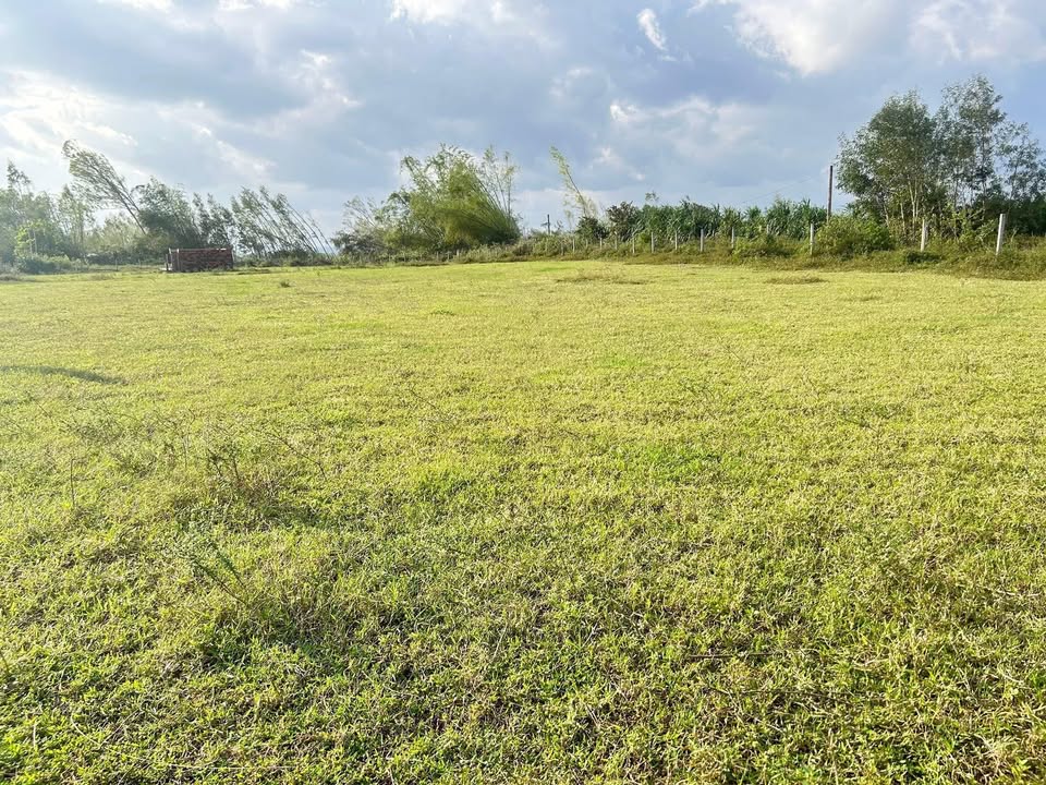 Đất nền Cát Tân Phù Cát 1100m² giá 900 triệu - Đường xe chạy thoải mái!