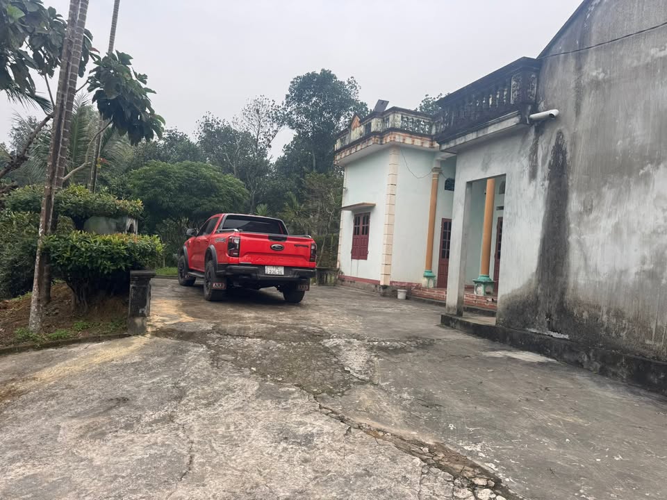 Đất Farm Lương Nha Thanh Sơn 2554m² giá chỉ 2 tỷ - Cơ hội đầu tư tuyệt vời!