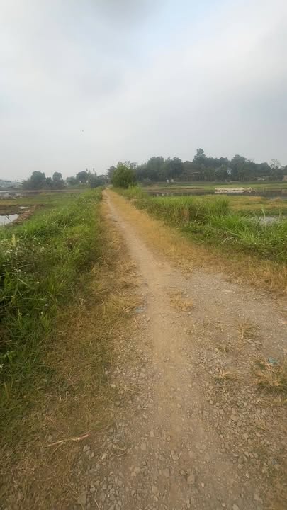 Đất thổ cư Tu Vũ 387,8m² giá 1 tỷ - Sổ đỏ chính chủ, đầu tư sinh lời!