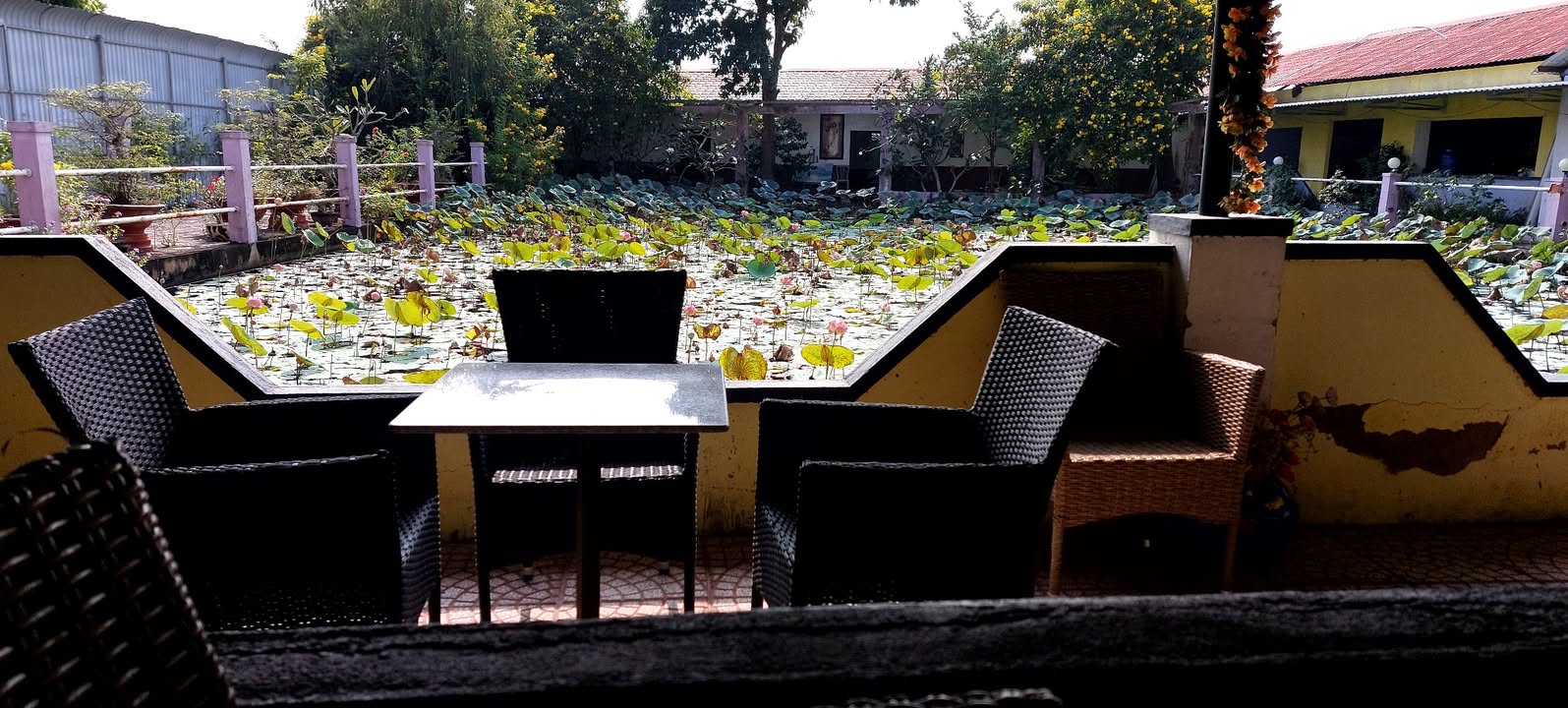 Đất ruộng Nhơn Đức 7000m² giá 800 triệu - Cơ hội đầu tư hấp dẫn!