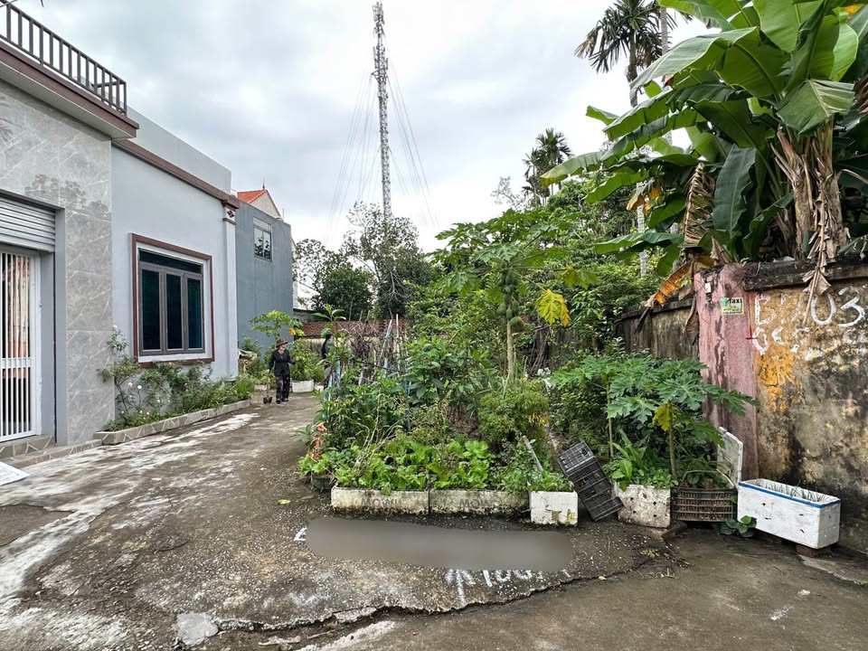 Đất nền lô góc An Dương 100m² giá 1.7 tỷ - Đường thông, giao thông thuận tiện!