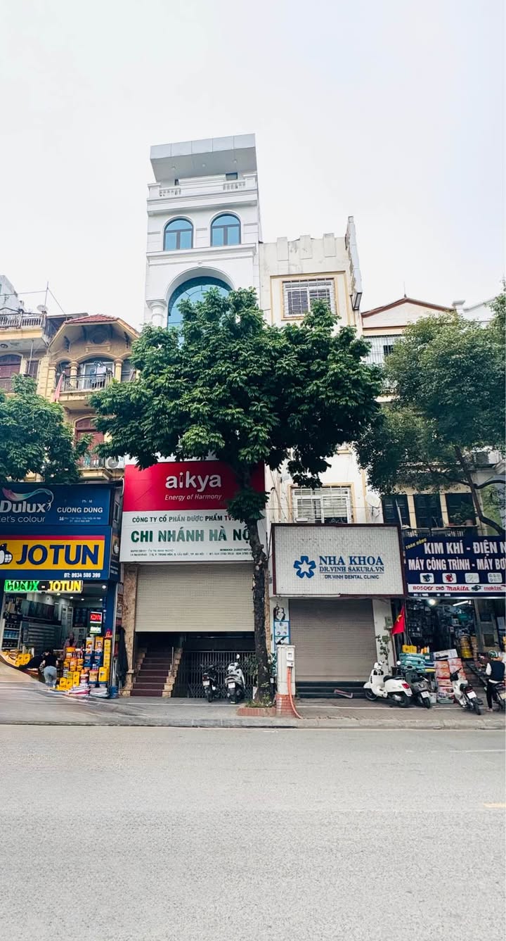 Nhà mặt phố Tú Mỡ, Cầu Giấy, 50m² giá 37.5 tỷ - Vị trí kinh doanh đỉnh cao!
