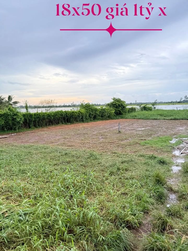 Đất nền Tân Bình, Châu Thành 900m² giá 1 tỷ - Sổ đỏ chính chủ, đầu tư sinh lời!