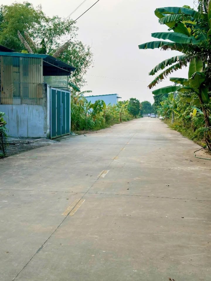 Đất phân lô Yên Sơn, Tam Điệp 100m² giá 1.2 tỷ - Cơ hội đầu tư tuyệt vời!