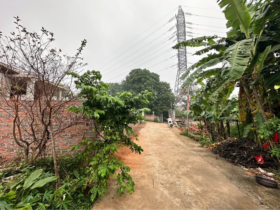 Đất Khu 3 - Vân Phú, Việt Trì 175.5m² giá 1.9 tỷ - Đầu tư tiềm năng cao!