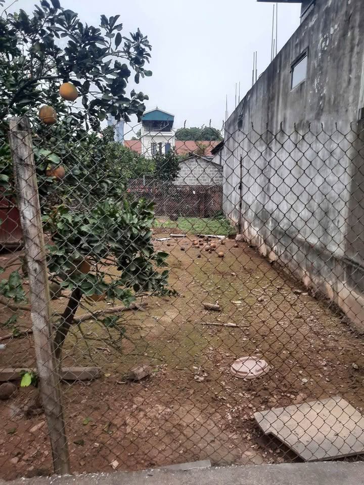 Đất vườn Phúc Đức Sài Sơn 100m² giá chỉ 1 tỷ - Cơ hội đầu tư tuyệt vời!