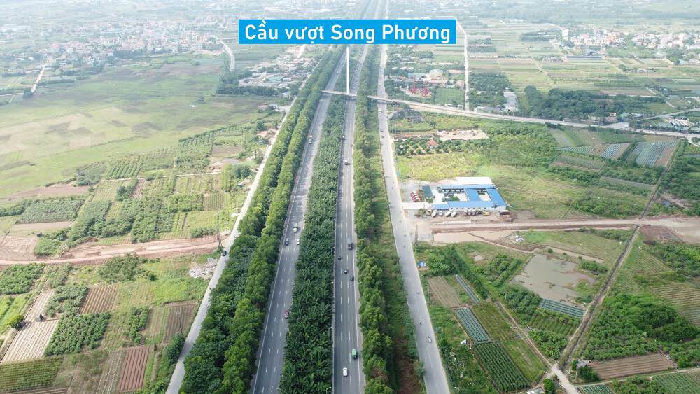 Đất trồng cây 1037m² tại Song Phương, Hoài Đức - Sổ hồng chính chủ chỉ 2 tỷ!