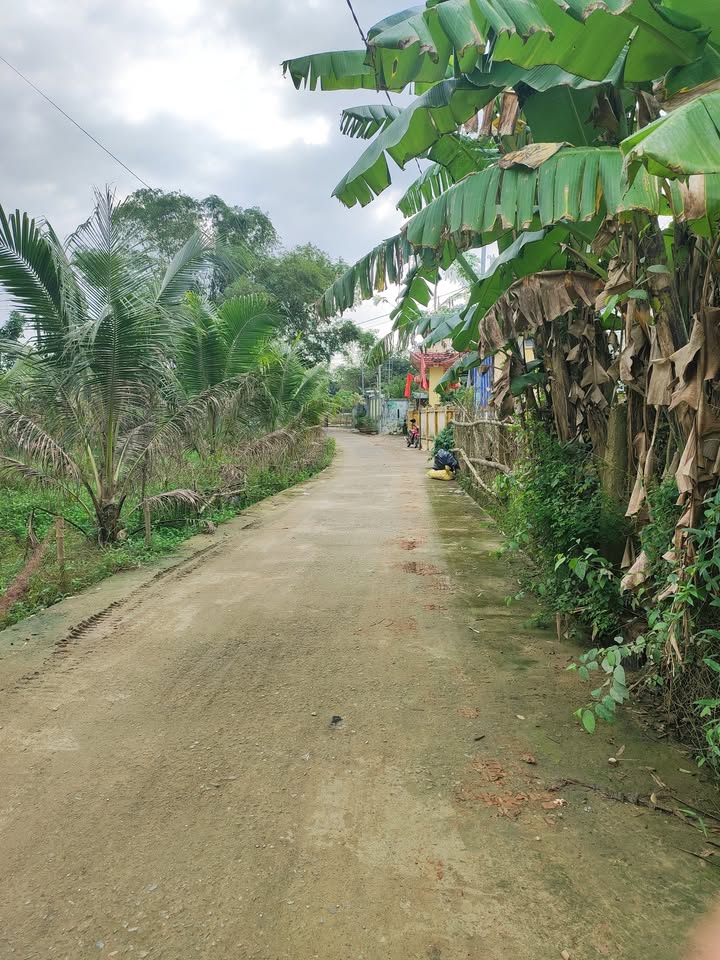 Đất nền Hòa Vang Đà Nẵng 125m² giá 1.2 tỷ - Đầu tư sinh lời ngay!