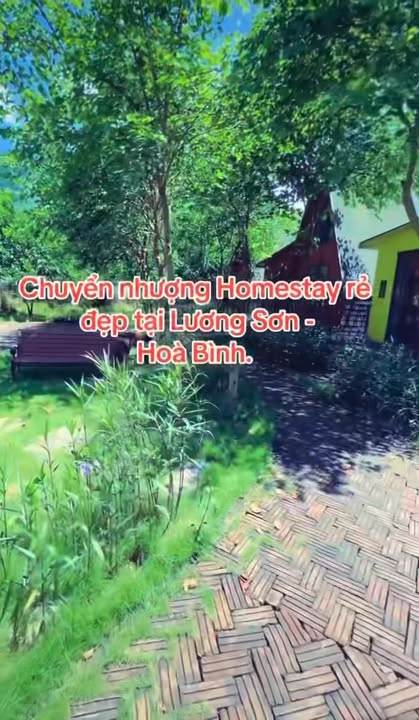 Homestay Cao Sơn, Lương Sơn, Hòa Bình 2642m² - Giá siêu hời, đầu tư ngay!