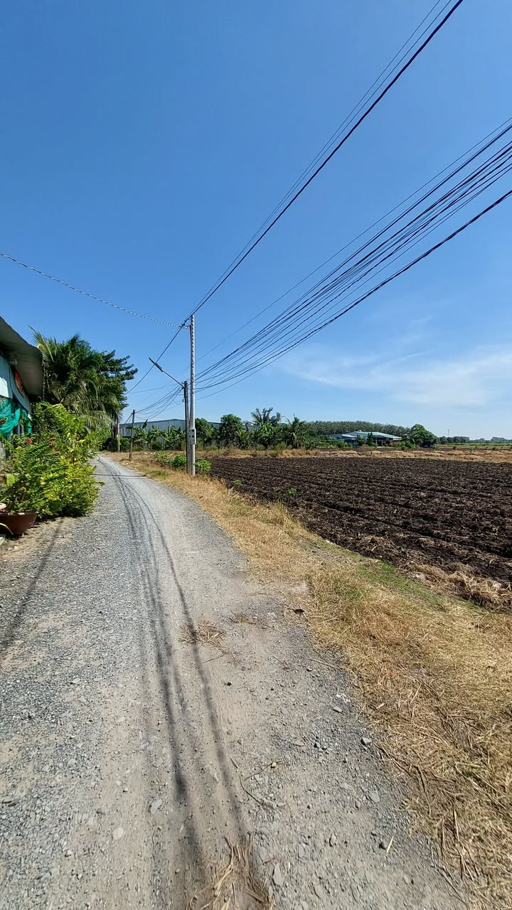 Đất nền Long Mỹ, Phường Long Hoa, Tây Ninh 120m² giá 360 triệu - Cơ hội đầu tư hấp dẫn!