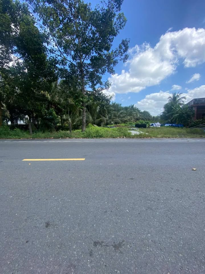 Đất mặt tiền Trương Vĩnh Trọng, Giồng Trôm 2 công 6 giá 1.55 tỷ - Đầu tư hấp dẫn!