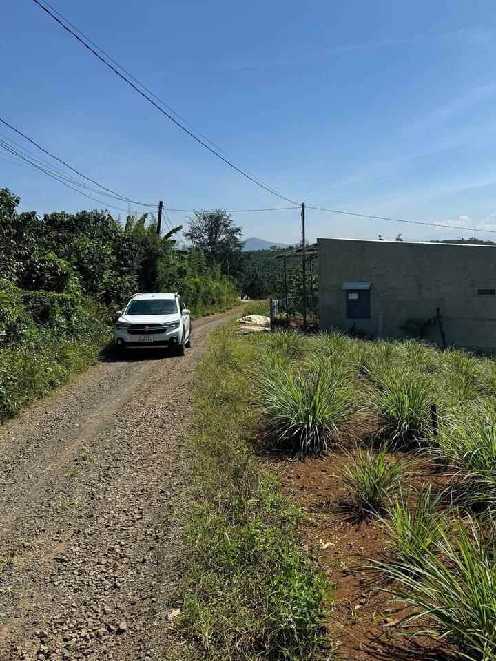 Đất thổ cư Lộc Ngãi Bảo Lâm 514m² giá 1.25 tỷ - Cơ hội đầu tư tuyệt vời!