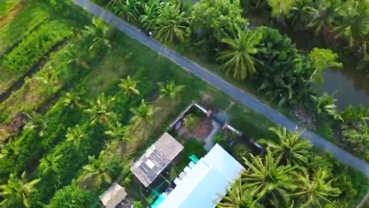 Đất vườn Đa Lộc 1000m² giá 230 triệu - Tiềm năng phát triển lớn!