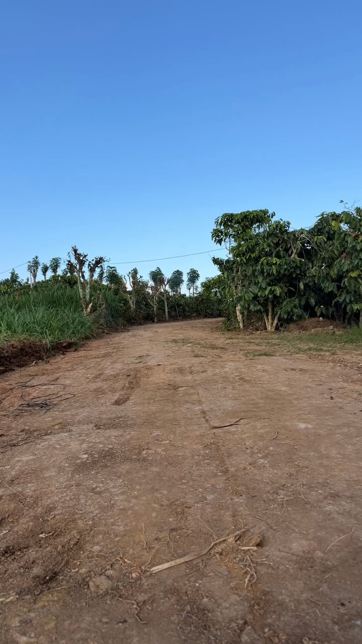 Đất nền Tân Hội 200m² giá 580 triệu - Đầu tư sinh lời ngay!