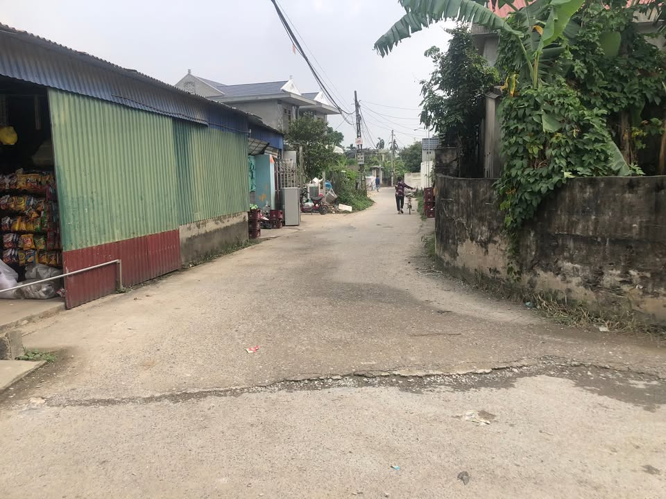 Đất thổ cư 300m² tại Bình An, Bình Lục - Giá chỉ 800 triệu