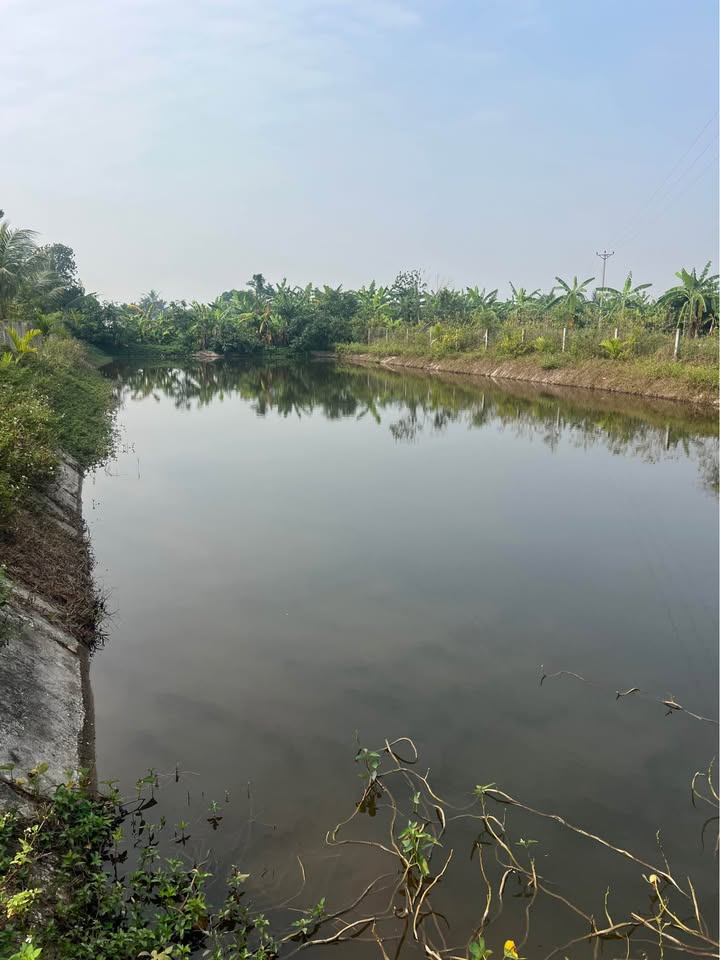 Đất nuôi trồng thủy sản 2520m² tại An Đức, Ninh Giang - Giá 1 tỷ VND