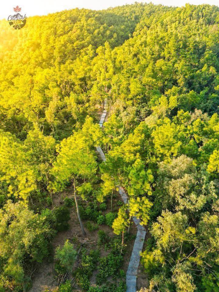 Đất thổ cư 300m² tại Trần Hưng Đạo, Chí Linh - Giá chỉ 4 tỷ - Cơ hội đầu tư lý tưởng!