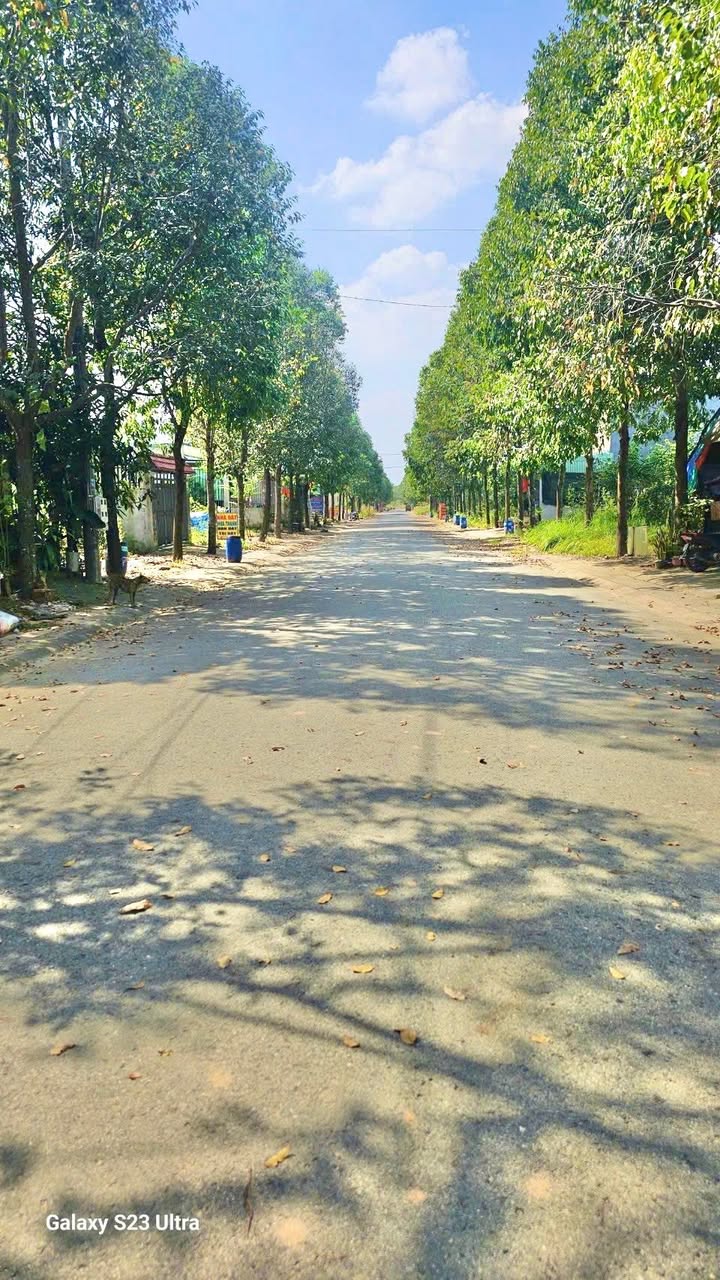 Đất nền 105m² đường N7, phường Thới Hòa, Bến Cát - Giá chỉ 1.5 tỷ!