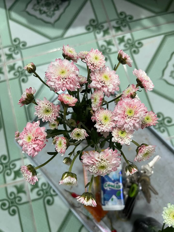 Đất nền Trấn Biên Biên Hòa 80m² giá 2 tỷ - Sổ hồng chính chủ, đường xe hơi vào tận nơi!