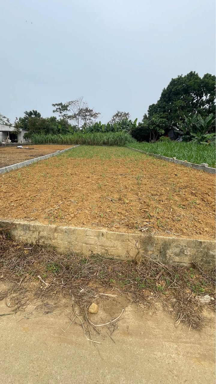 Đất Vân Hòa Yên Bài, Ba Vì 262m² giá chỉ 2 tỷ - View núi tuyệt đẹp!