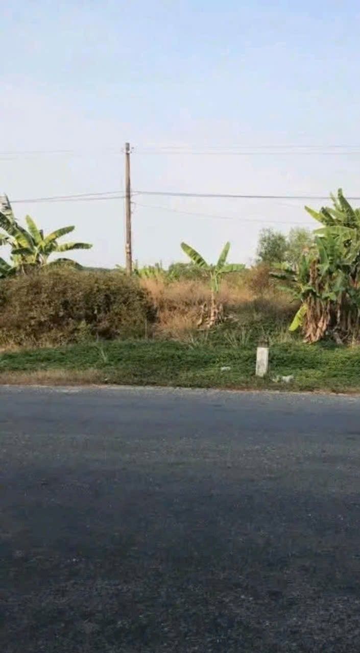 Đất mặt tiền đường TL818, 80m² giá 1.1 tỷ - Cơ hội đầu tư hấp dẫn!