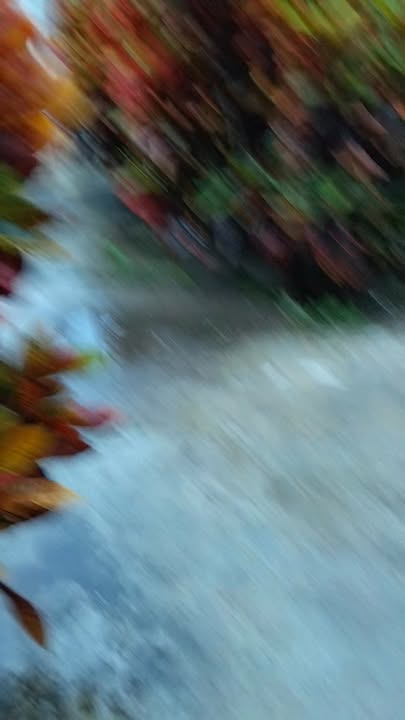 Nhà cấp 4 khu phố Phú Vang, Tuy Hòa 200m² giá 1.43 tỷ - Nơi an cư lý tưởng!