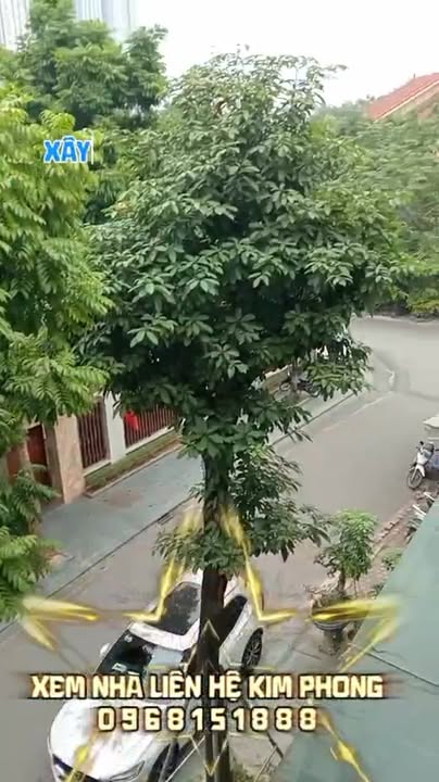 Townhouse 134m² KĐT Làng Việt Kiều Châu Âu, Hà Đông - Giá chỉ 40 tỷ!