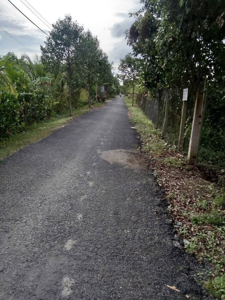 Đất nền Tân Hòa Vĩnh Long 2000m² giá thương lượng - Sổ đỏ chính chủ!