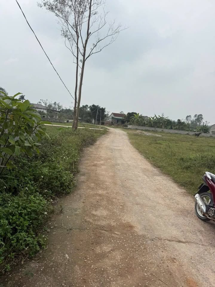 Đất nền Nghi Kiều 147m² giá 800 triệu - Cơ hội đầu tư hấp dẫn!