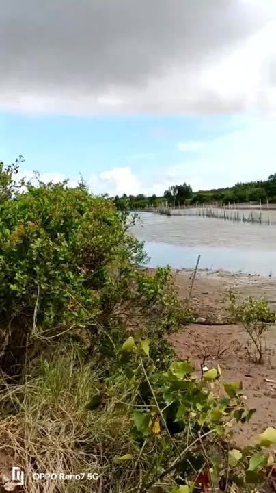 Đất nuôi trồng thủy sản xã Thừa Đức, Bình Đại 9000m² giá chỉ 3 tỷ - Cơ hội đầu tư tuyệt vời!