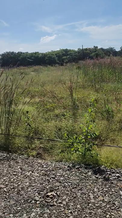 Đất Phước Tân Xuyên Mộc 2600m² giá 800 triệu - Mặt tiền đường đá rộng 4m