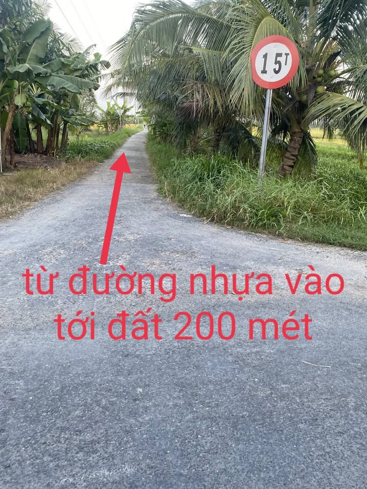 Đất nền rộng 3500m² tại Thanh Trì A, Châu Thành - Giá chỉ 450 triệu