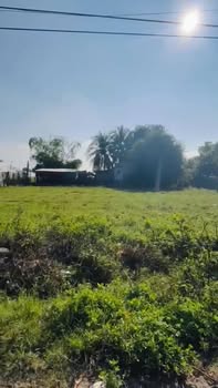 Đất thổ cư mặt tiền đường liên xã Phước Hậu, Ninh Thuận 784m² - Chính chủ bán nhanh!